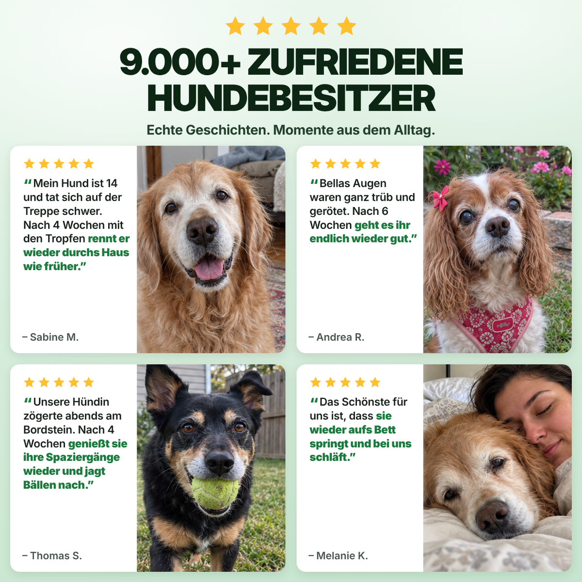 Flofrei® Sehkraft Tropfen für Hunde – Tägliche Augen-Unterstützung