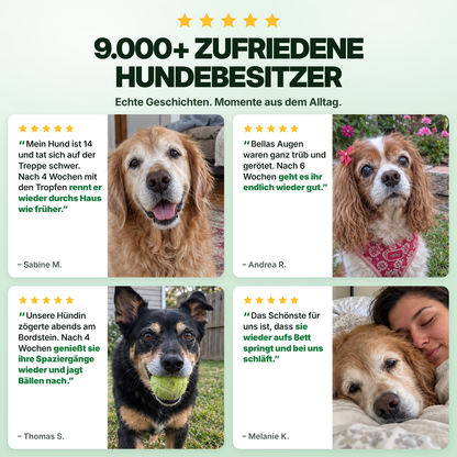 Flofrei® Sehkraft Tropfen für Hunde – Tägliche Augen-Unterstützung