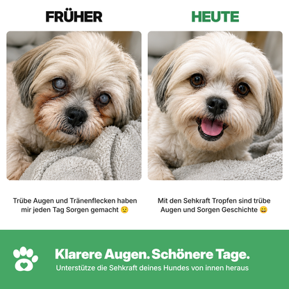 Flofrei® Sehkraft Tropfen für Hunde – Tägliche Augen-Unterstützung