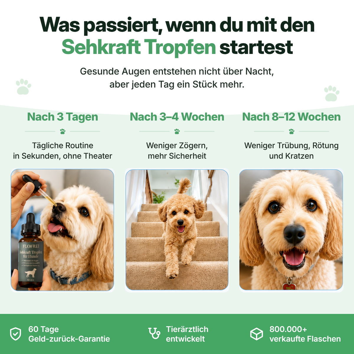 Flofrei® Sehkraft Tropfen für Hunde – Tägliche Augen-Unterstützung