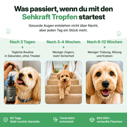 Flofrei® Sehkraft Tropfen für Hunde – Tägliche Augen-Unterstützung