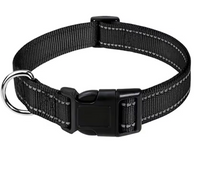 Reflektierendes Hundehalsband – Sicher & Komfortabel | Schwarz