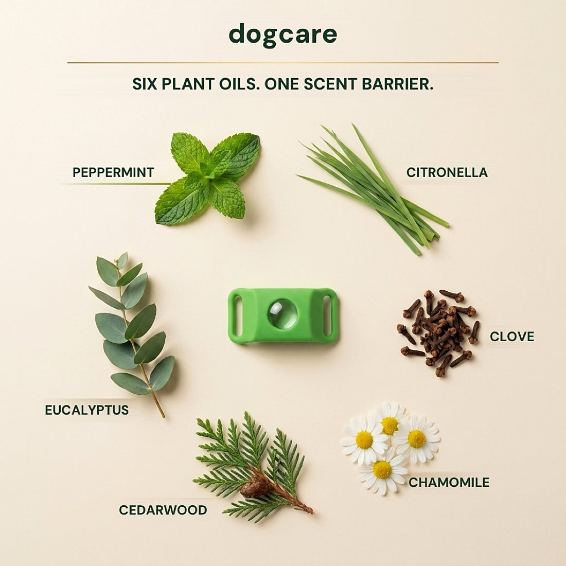 dogcare 12-Month Tick & Flea Pendant