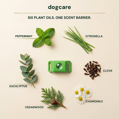 dogcare 12-Month Tick & Flea Pendant