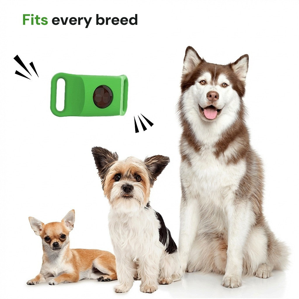 dogcare 12-Month Tick & Flea Pendant