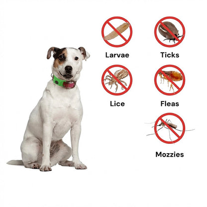 dogcare 12-Month Tick & Flea Pendant