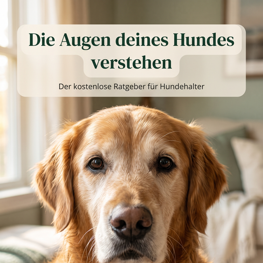 + GRATIS E-Book „Klare Augen im Alter"