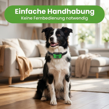 Flofrei® Anti-Bell Halsband