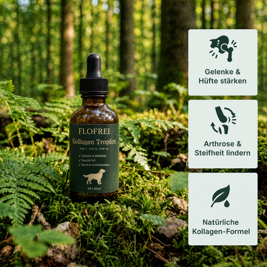 Flofrei® Kollagen Tropfen