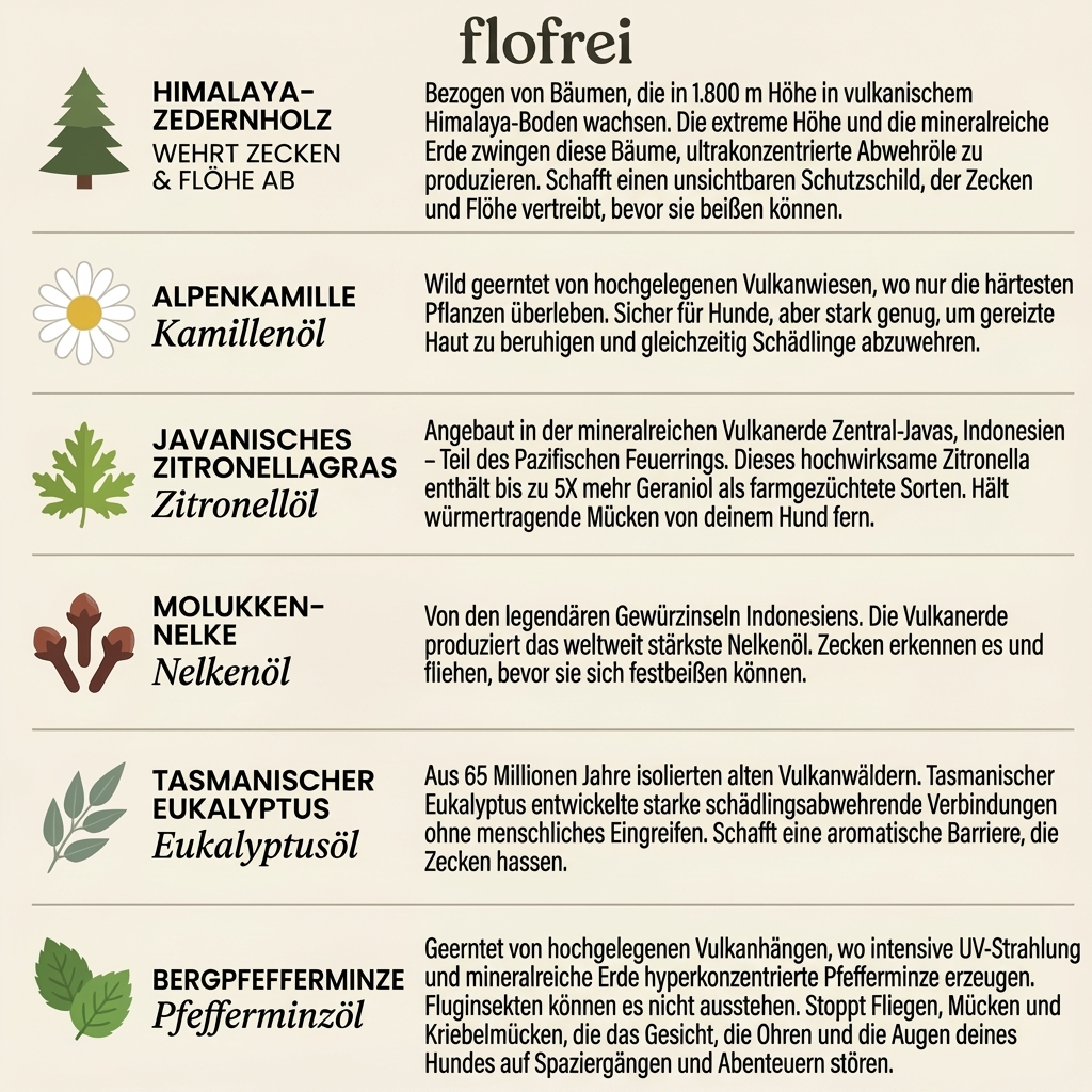 Flofrei® Naturschutz-Anhänger – 12 Monate Schutz vor Flöhen, Zecken & Parasiten