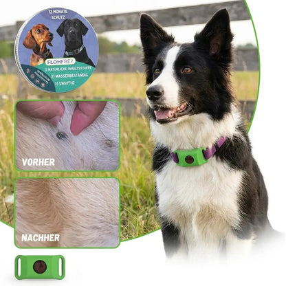 Flofrei® Naturschutz-Anhänger – 12 Monate Schutz vor Flöhen, Zecken & Parasiten