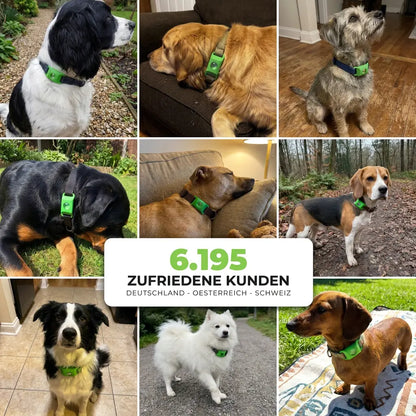 Flofrei® Naturschutz-Anhänger – 12 Monate Schutz vor Flöhen, Zecken & Parasiten