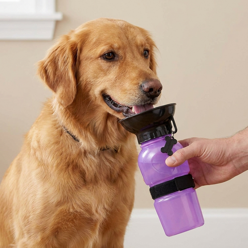Flofrei® Hunde-Trinkflasche – 2-in-1 Flasche & Napf für unterwegs